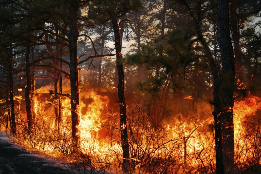  incendios