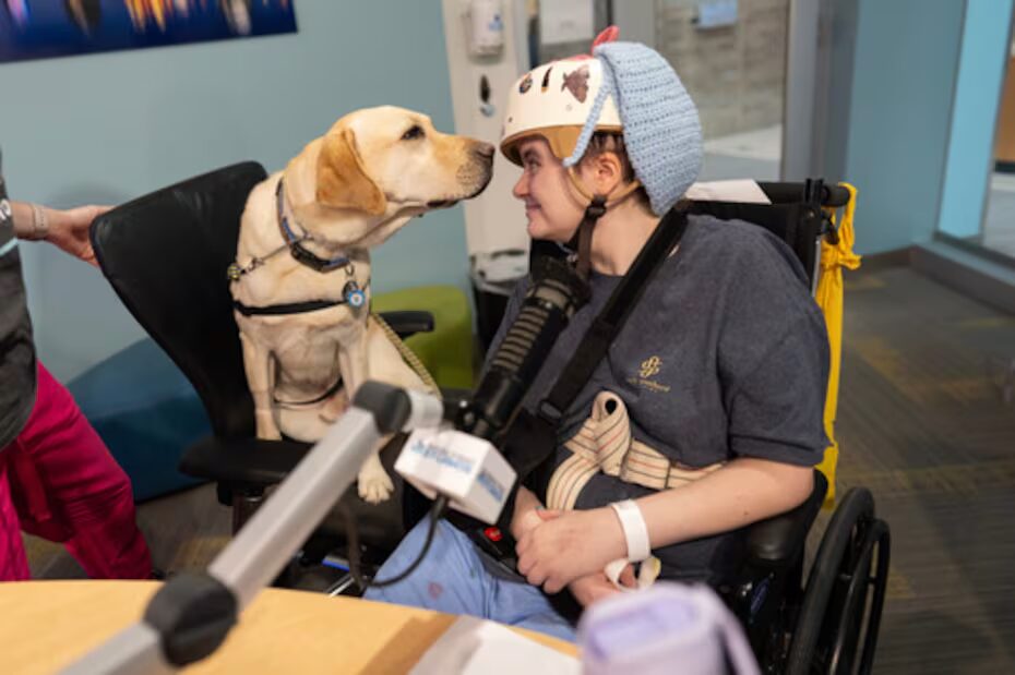 Perros de terapia, la mejor medicina en hospitales infantiles de EE. UU.