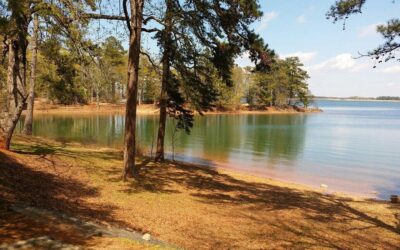Lago Hartwell bajo alerta: lo que deben saber los visitantes