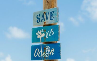 World Oceans Day: Folly Beach realizará jornada especial de limpieza