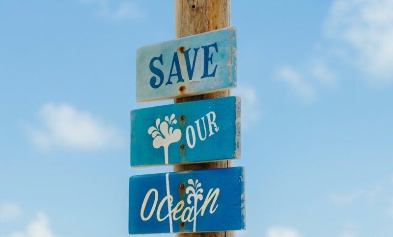 World Oceans Day: Folly Beach realizará jornada especial de limpieza
