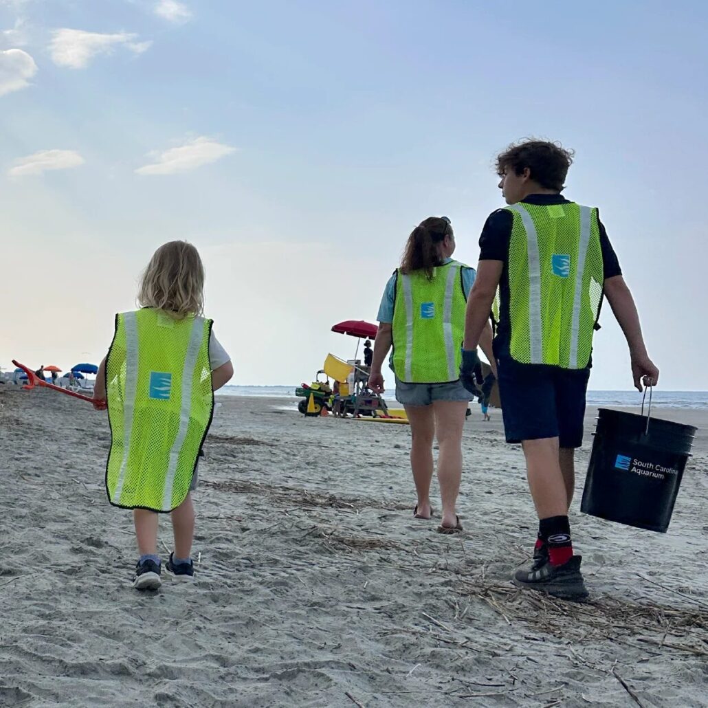 World Oceans Day