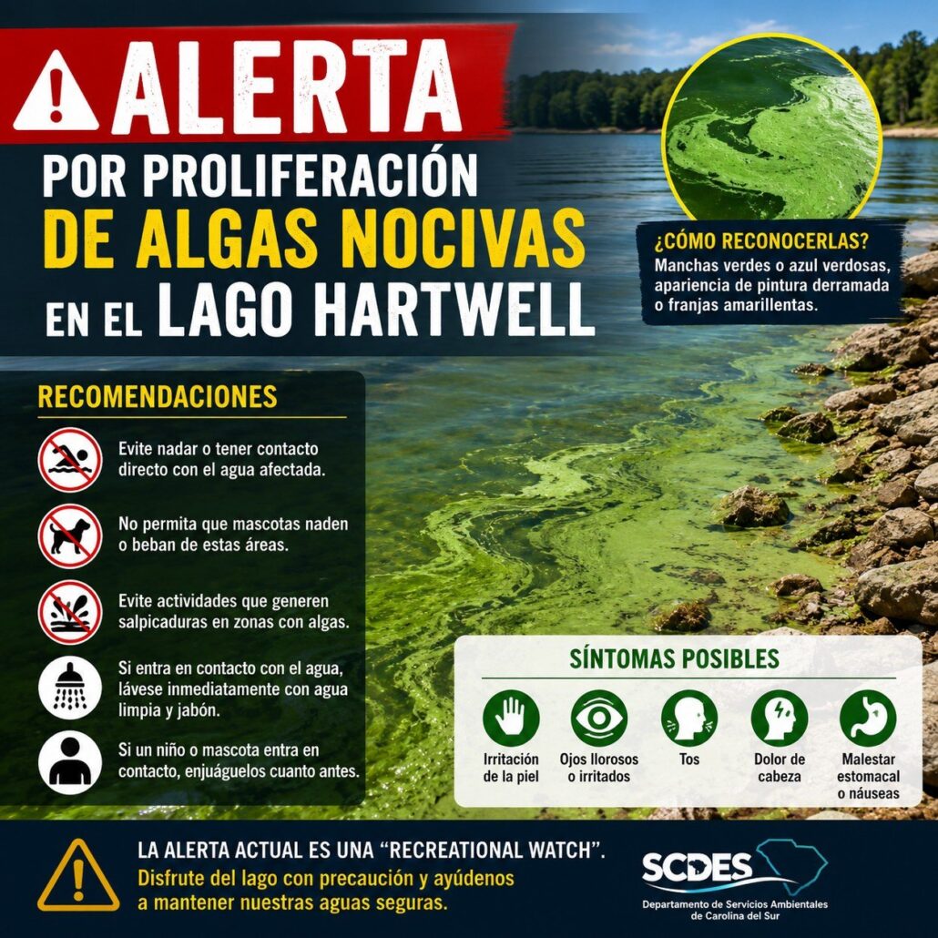 Lago Hartwell