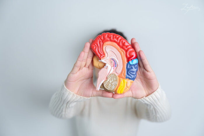 Identifican proteína que permitirá comprender mejor el autismo