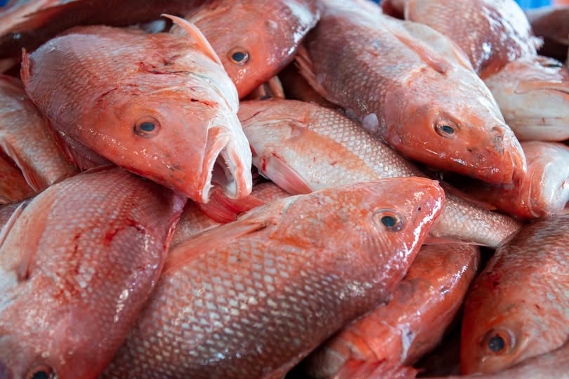 Pesca SC