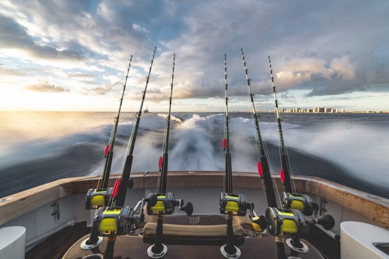 temporada pesca