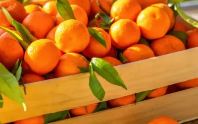 Descubre este poderoso truco casero con mandarina y jengibre