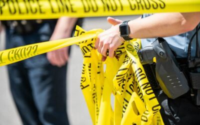 Muerte de oso negro alerta a conductores en Florida
