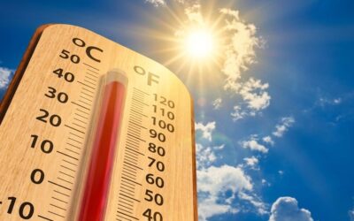Calor extremo en Estados Unidos: ¿por qué es urgente tomar medidas?