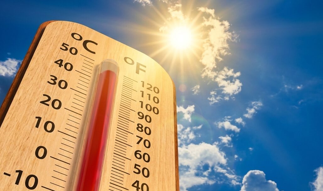 Calor extremo en Estados Unidos: ¿por qué es urgente tomar medidas? 