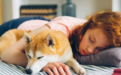 ¿Cómo dormir toda la noche y ganarle al insomnio?  