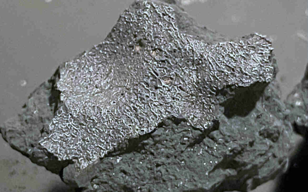 Meteorito en Nueva Jersey revela extraordinarios compuestos