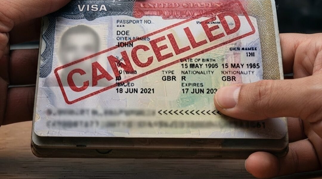 ¿Tienes visa de turista y pediste asilo? EE. UU. podría cancelarla
