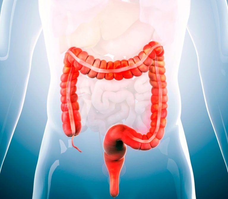 salud intestinal 