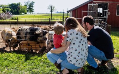 Airbnb ofrecerá subvenciones a agricultores para impulsar turismo en Carolina del Sur