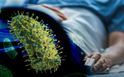 Rabia en humanos: CDC alerta sobre aumento de casos