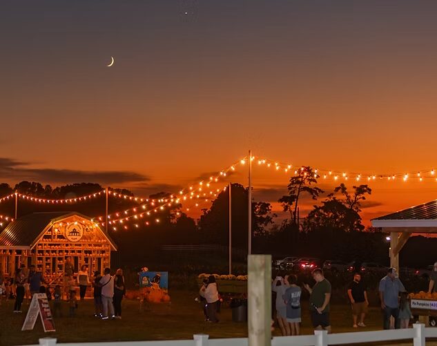 Denver Downs Farm