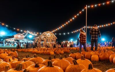 Otoño en Denver Downs Farm: ¿cuánto cuesta y qué actividades puedes hacer?