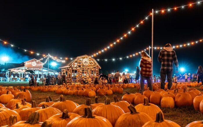 Otoño en Denver Downs Farm: ¿cuánto cuesta y qué actividades puedes hacer?